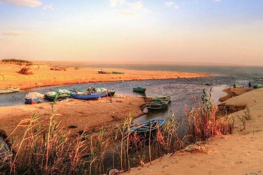 Fayoum Oasis and Waterfalls of Wadi El-Rayan Tour