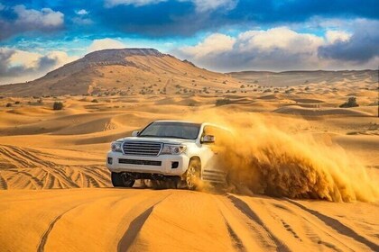 Fayoum Oasis and Waterfalls of Wadi El-Rayan Tour