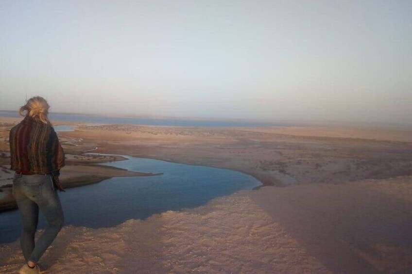 Fayoum Oasis and Waterfalls of Wadi El-Rayan Tour