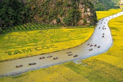 1 Day Small Group Tour in Ninh Binh from Hanoi