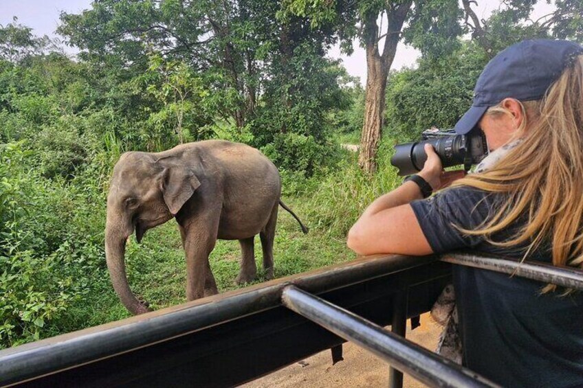 5 Day Wildlife Safari Tour in Sri Lanka 