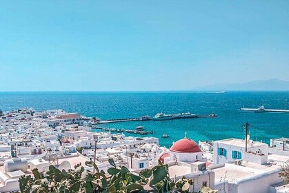 Mykonos Private Tour | Fully Customisable with Pickup