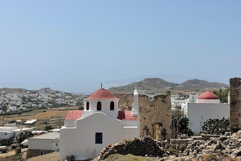 Mykonos Private Tour Fully Customizable with Pickup 