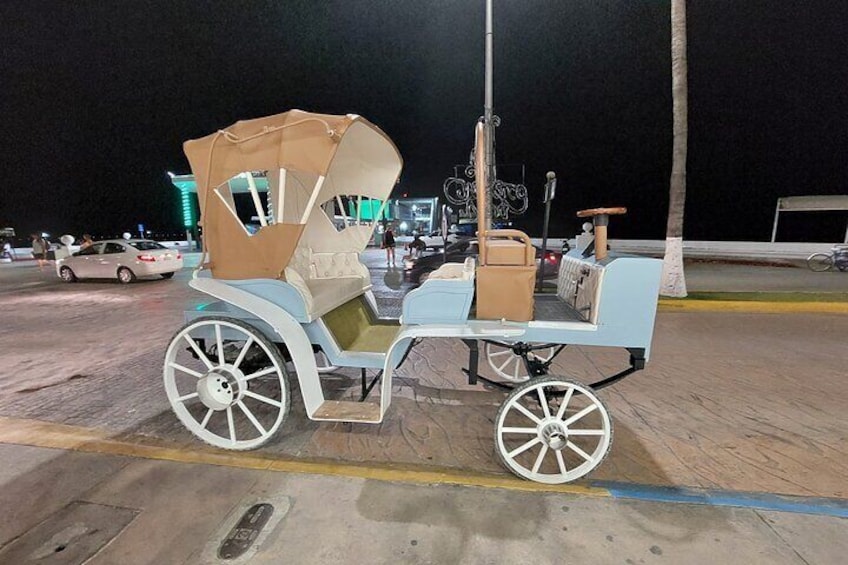 Cozumel's Heart Electric and Horse-drawn Carriage Tour