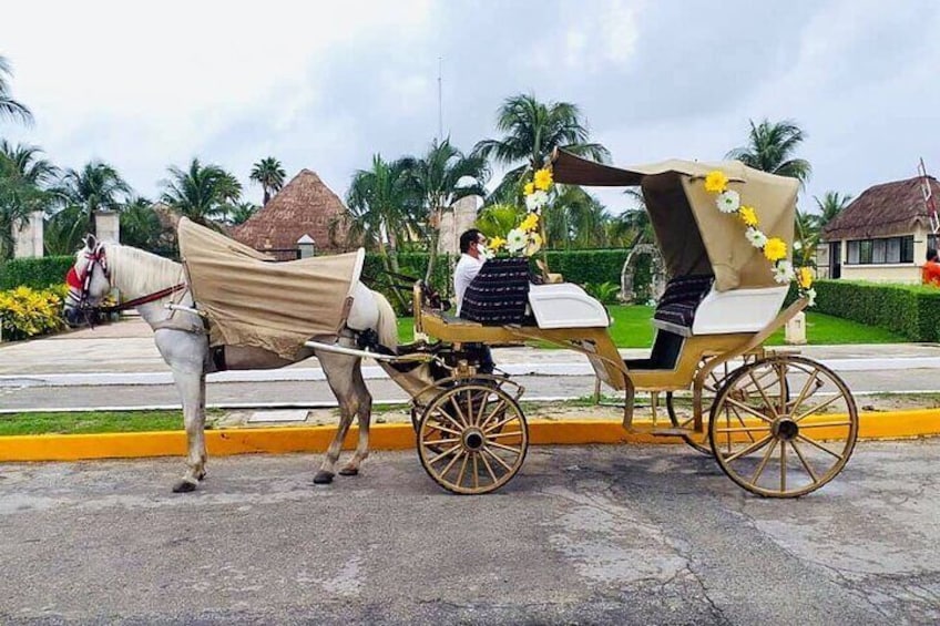 Cozumel's Heart Electric and Horse-drawn Carriage Tour