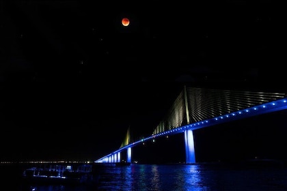 Skyway Light Show Tour Under the Stars