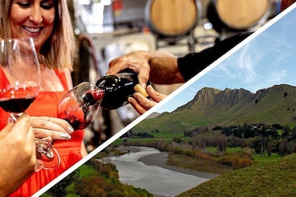 Wine & Sightseeing Tour 4 hr | Cruise Tour 2.5hr | Award Winning
