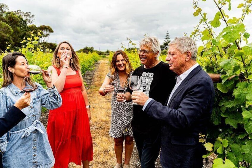 Tour the vineyard to learn about viticulture