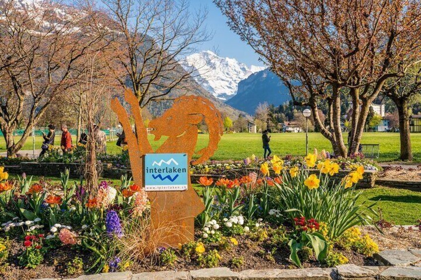 Private Day Tour to Waterfalls Valley & Interlaken.