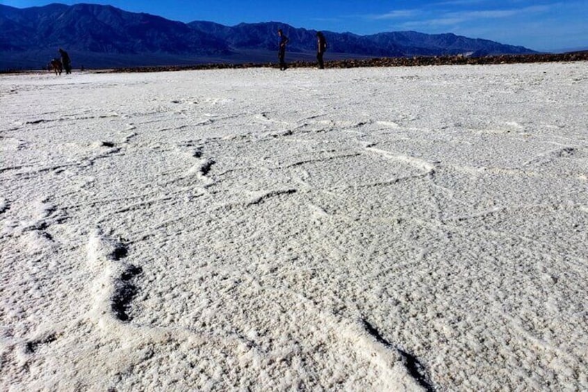 Private Day Tour to Death Valley National Park from San Diego 