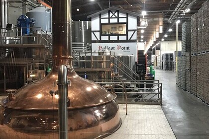 San Diego Beer Tasting Tour (Private)