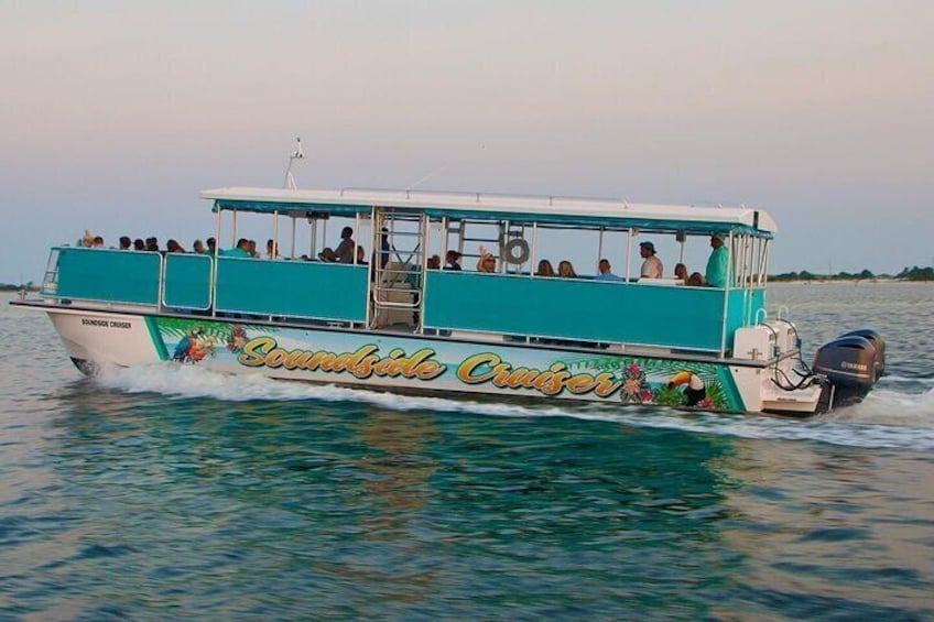 Morning Snorkel & Dolphin Adventure