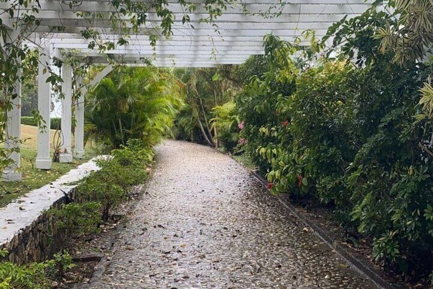 Rose Hall Great House and Montego Bay Tour