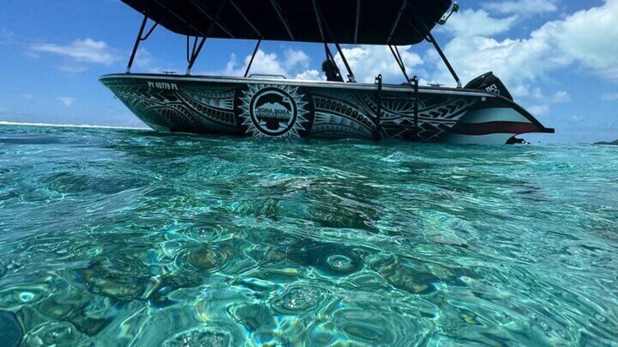 Half day Eco Snorkeling Tour in Bora Bora by a Local Company