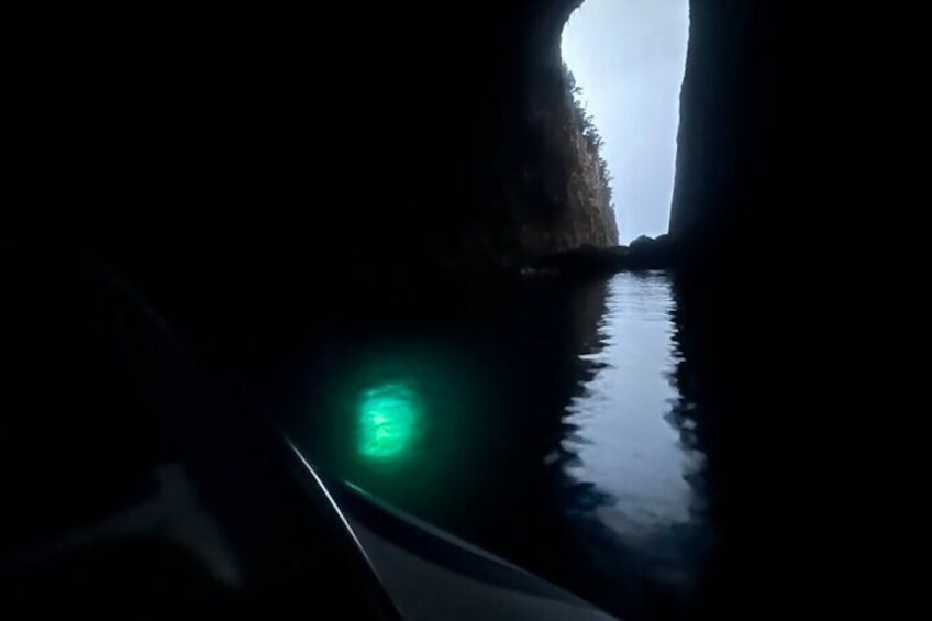 Blue Gem Cave Speedboat Tour