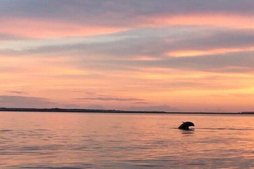Private Sunset and Fireworks Dolphin Tour