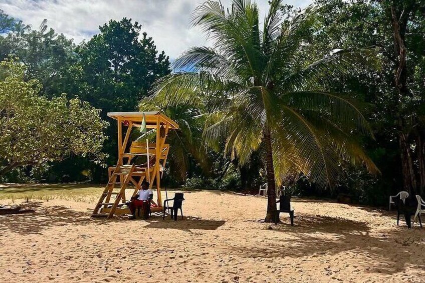 Private tour from Port Antonio to Frenchman's Cove 