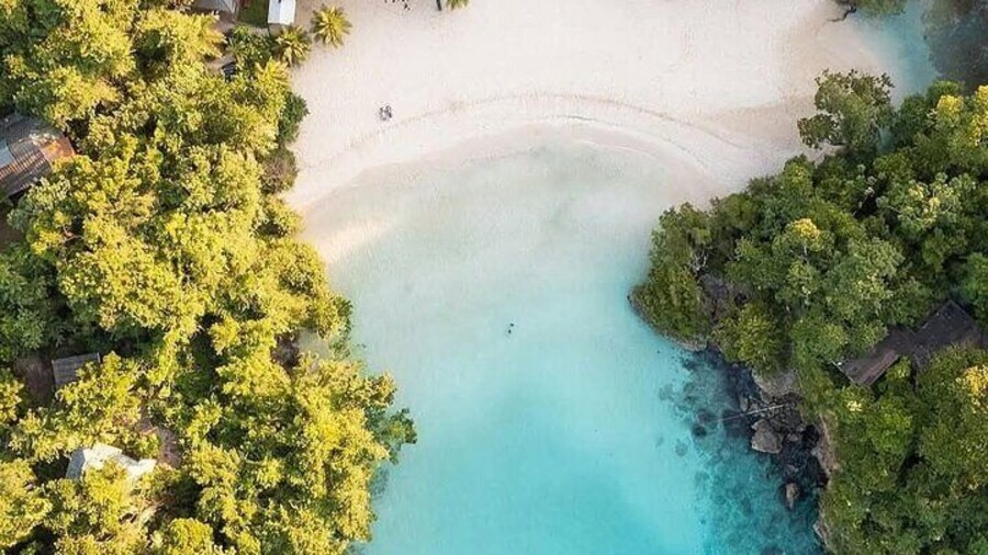 Private tour from Port Antonio to Frenchman's Cove