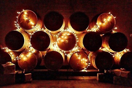 NON BUS 特拉弗斯城香槟葡萄酒之旅 分享体验