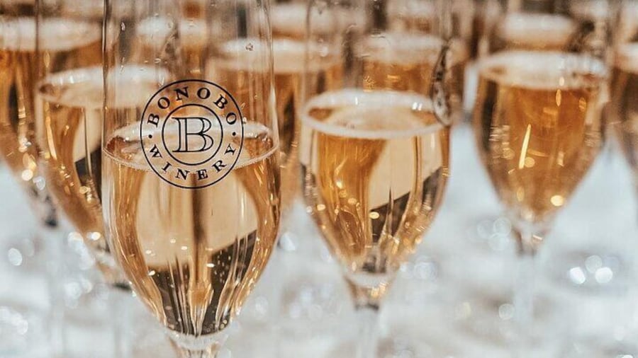 NON BUS Champagne Wine Tasting in Traverse City Shared Experience