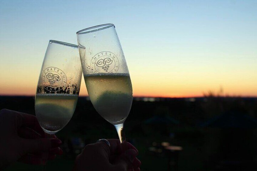 Wine Tasting in Traverse City Shared Experience