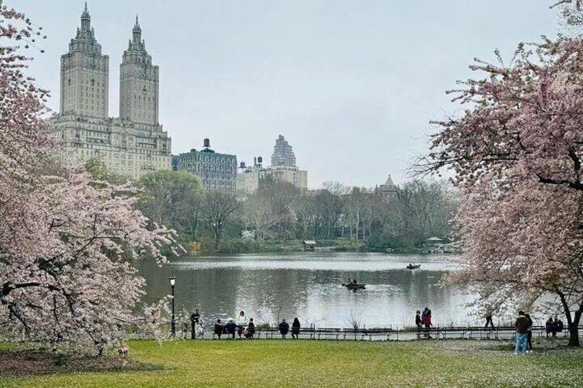 Bike Ride Through New York City Sights