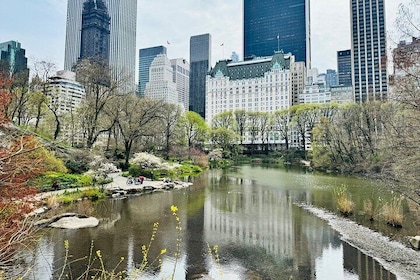 First Class Pedicab Tours of Central Park