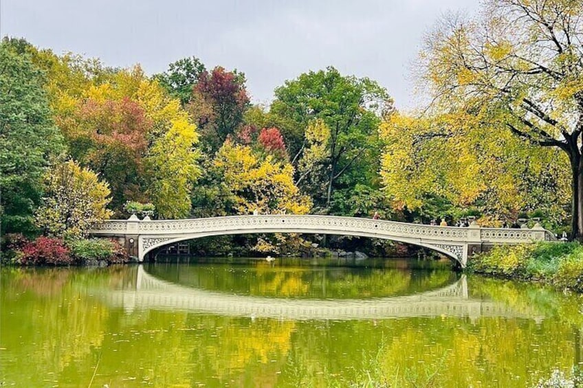 Bike Ride Through New York City Sights