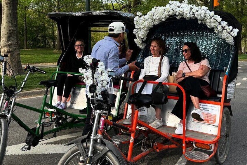 First Class Central Park Tour – Iconic Views & VIP Photo Moments