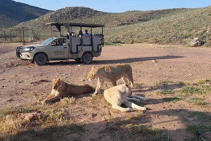 Aquila Sunset Safari And Diamond Factory PvtTour LGBTQ awareness