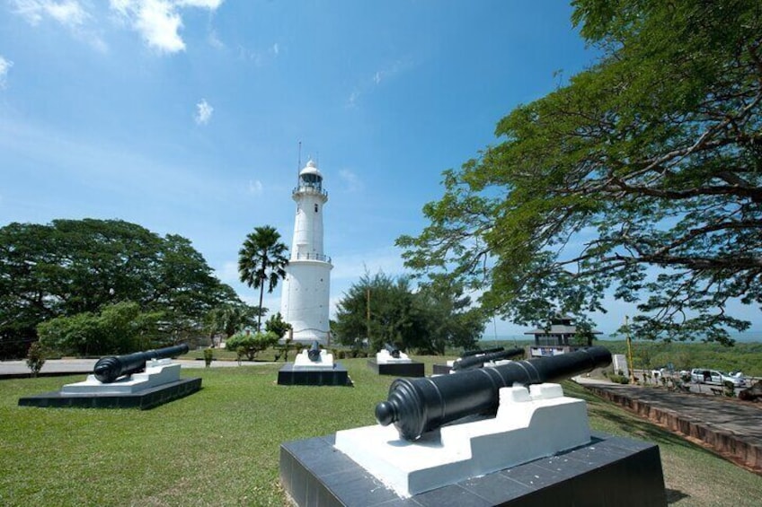 Fireflies and Bioluminescent Night Tour with Seafood Delight