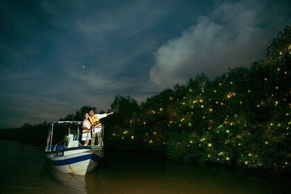 Fireflies and Bioluminescent Night Tour with Seafood Delight