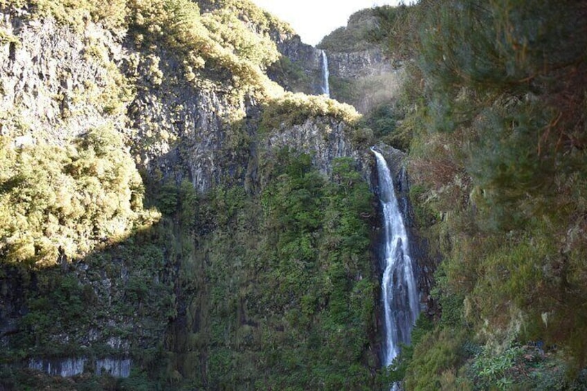 Madeira Adventure Tour Skywalk Levada Walk and Mystic Forest