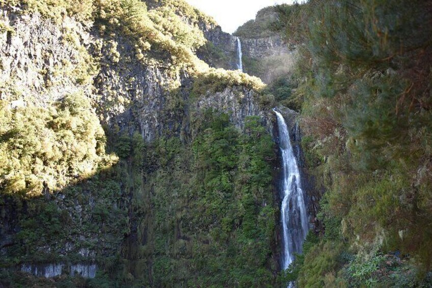 Madeira Adventure Tour Skywalk Levada Walk and Mystic Forest