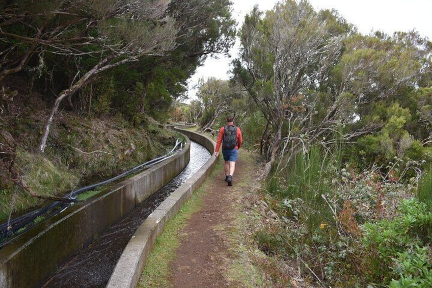 Madeira Adventure Tour Skywalk Levada Walk and Mystic Forest