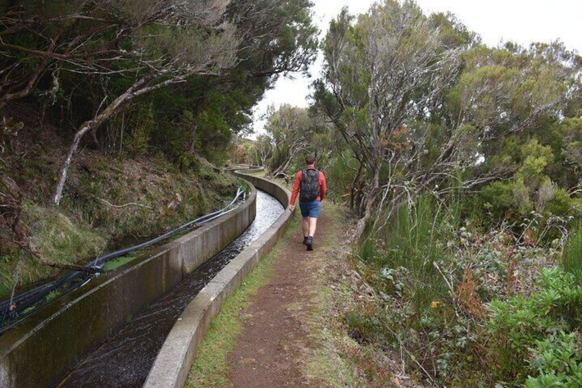 Madeira Adventure Tour Skywalk Levada Walk and Mystic Forest