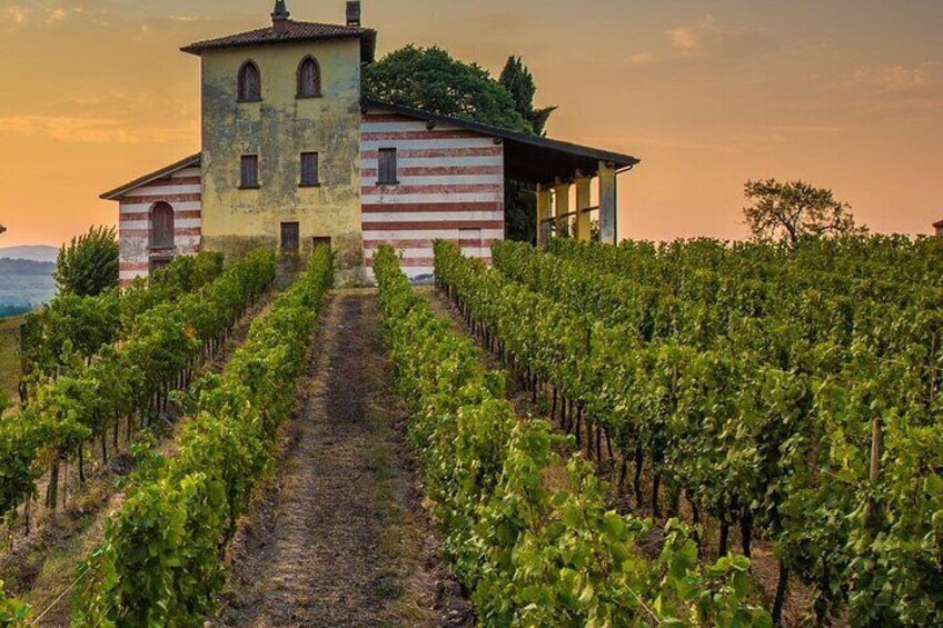 Full Day Wine and Gastronomy Tour Parma to Franciacorta and Iseo