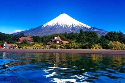 Mount Fuji and Cherry Blossom Private Guided Tour with Pickup