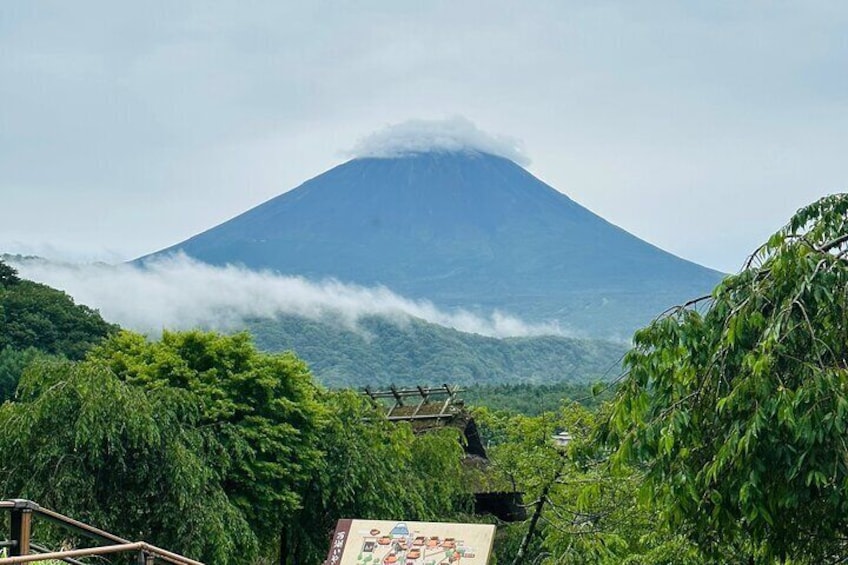 Mount Fuji and Cherry Blossom Private Guided Tour with Pickup 