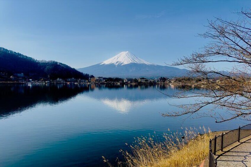 Mount Fuji and Cherry Blossom Private Guided Tour with Pickup 