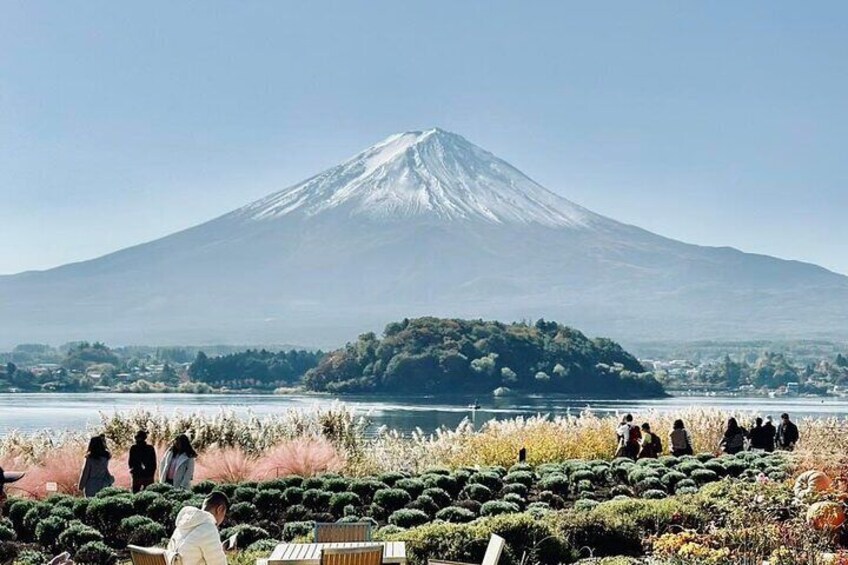 Mount Fuji and Cherry Blossom Private Guided Tour with Pickup 