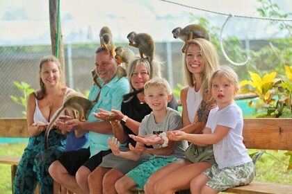 Monos y Maravillas de Puerto Plata (Tour Privado)