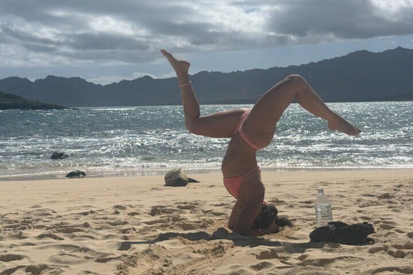 Yoga with Monk Seal