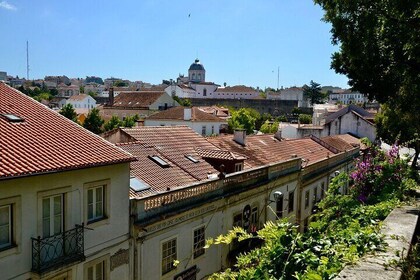 Coimbra: Cathedrals, Kings, and Calla Lilies