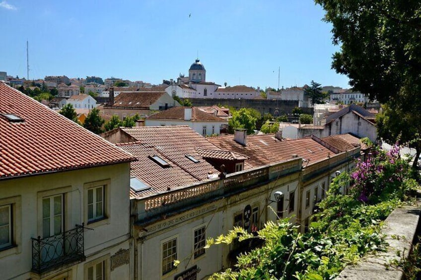 Coimbra: Cathedrals, Kings, and Calla Lilies