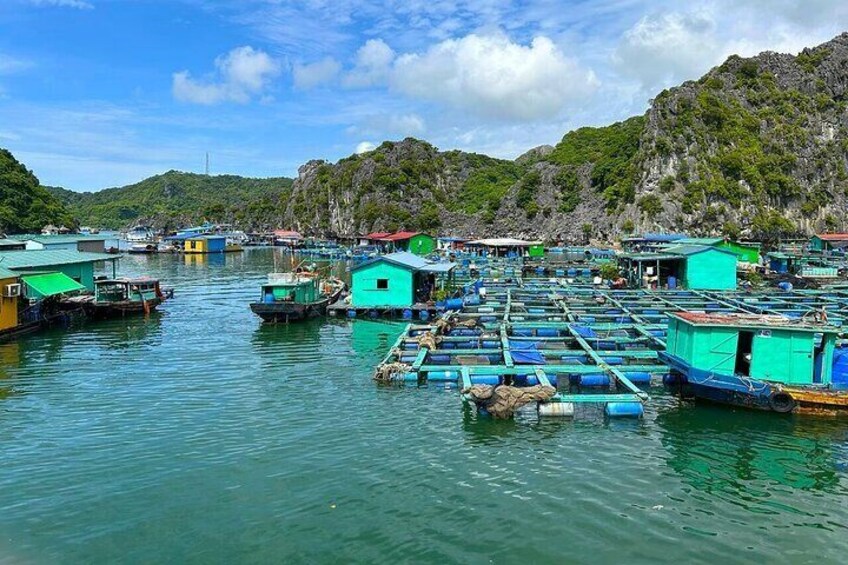 Private Canoe Tour: Explore Halong & Lan Ha Bay at Your Own Way