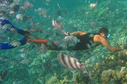 Nha Trang Snorkelling Fishing BBQ and Mini Beach Relaxation Tour