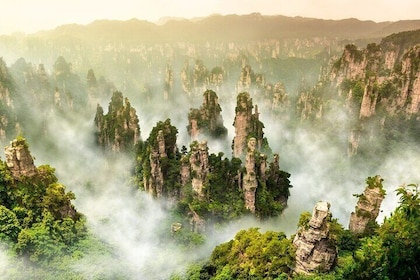 Full-Day Zhangjiajie National Forest Park Tour