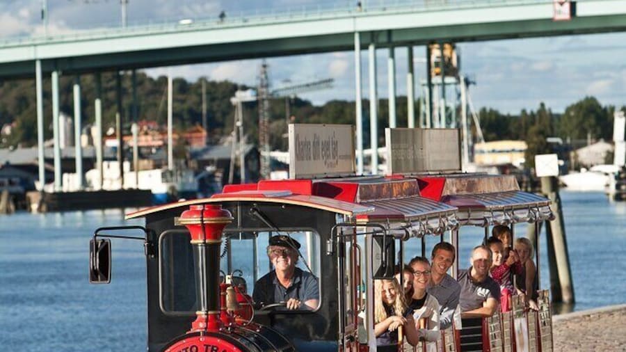 Gothenburg Old Town Sightseeing Tour