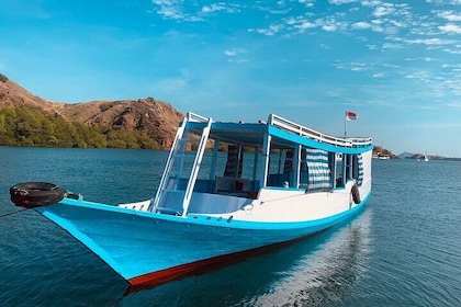 Discover Rinca Island in a Day with a Slow Wooden Boat